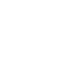 Batorigroup